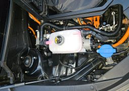 
										Kia Niro EV Premium full									