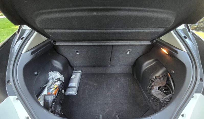 
								Nissan LEAF full									