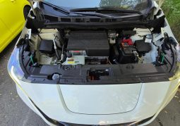 
										Nissan LEAF full									