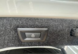 
										BMW 5 Series 530d xDrive AT MHEV full									