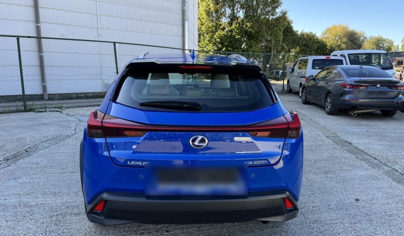 
								Lexus UX 250h 2.0L HEV 20H- (178 HP) 4X4 CVT Executive full									