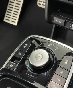 
										Kia Niro e-Niro 150 kW Future full									