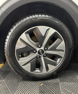 
										Kia Niro e-Niro 150 kW Future full									