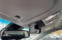 
										Kia Niro e-Niro 150 kW Future full									