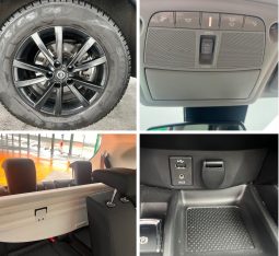 
										Nissan X-Trail 2.0 dCi ALL-MODE 4x4i Xtronic Tekna full									