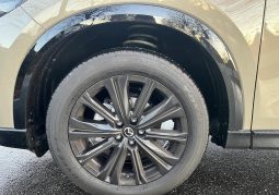
										Mazda CX-5 SKYACTIV-G 165 AWD Aut. HOMURA full									